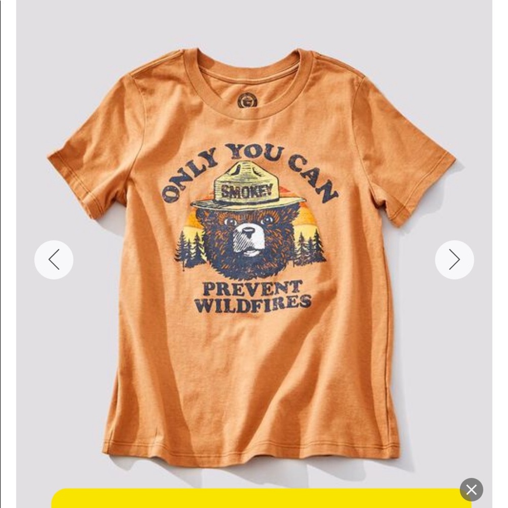 NWT Smokey the bear graphic tee